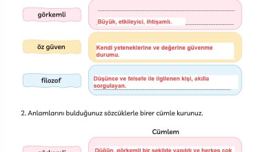 3. Sınıf Meb Yayınları Türkçe Ders Kitabı Sayfa 167 Cevapları