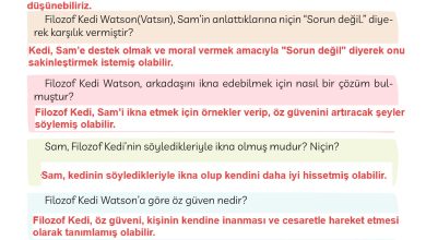 3. Sınıf Meb Yayınları Türkçe Ders Kitabı Sayfa 168 Cevapları