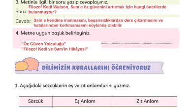 3. Sınıf Meb Yayınları Türkçe Ders Kitabı Sayfa 169 Cevapları