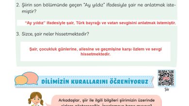 3. Sınıf Meb Yayınları Türkçe Ders Kitabı Sayfa 17 Cevapları