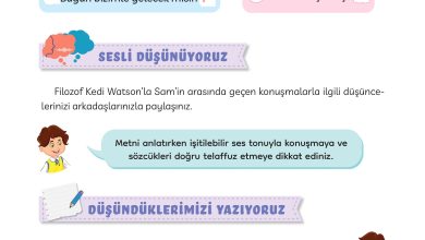 3. Sınıf Meb Yayınları Türkçe Ders Kitabı Sayfa 171 Cevapları