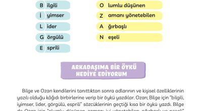 3. Sınıf Meb Yayınları Türkçe Ders Kitabı Sayfa 172 Cevapları