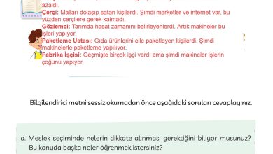 3. Sınıf Meb Yayınları Türkçe Ders Kitabı Sayfa 173 Cevapları