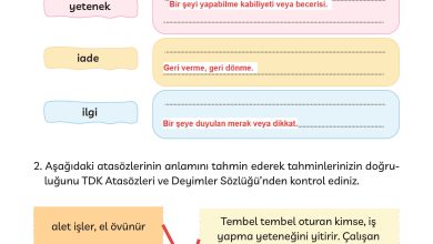 3. Sınıf Meb Yayınları Türkçe Ders Kitabı Sayfa 176 Cevapları