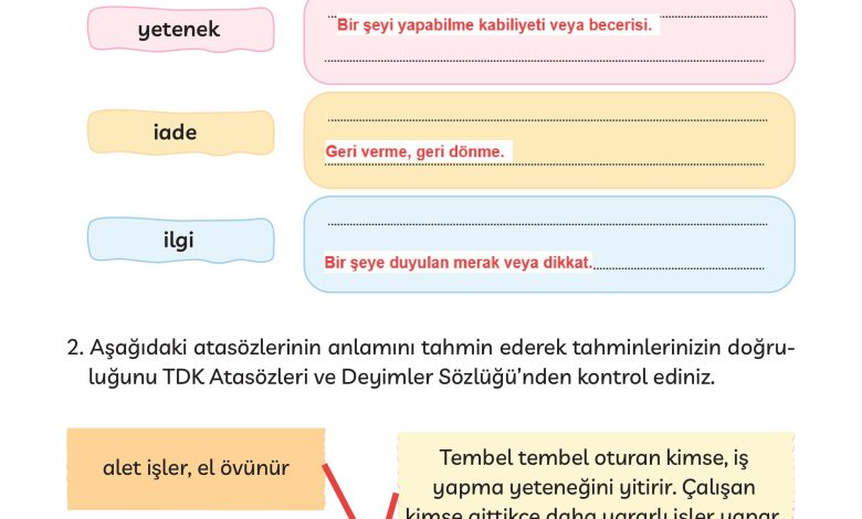 3. Sınıf Meb Yayınları Türkçe Ders Kitabı Sayfa 176 Cevapları