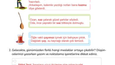 3. Sınıf Meb Yayınları Türkçe Ders Kitabı Sayfa 178 Cevapları