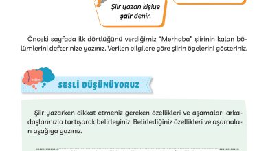 3. Sınıf Meb Yayınları Türkçe Ders Kitabı Sayfa 18 Cevapları