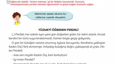 3. Sınıf Meb Yayınları Türkçe Ders Kitabı Sayfa 180 Cevapları