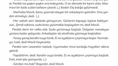 3. Sınıf Meb Yayınları Türkçe Ders Kitabı Sayfa 181 Cevapları