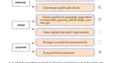 3. Sınıf Meb Yayınları Türkçe Ders Kitabı Sayfa 182 Cevapları