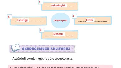 3. Sınıf Meb Yayınları Türkçe Ders Kitabı Sayfa 183 Cevapları