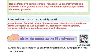 3. Sınıf Meb Yayınları Türkçe Ders Kitabı Sayfa 184 Cevapları