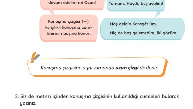 3. Sınıf Meb Yayınları Türkçe Ders Kitabı Sayfa 185 Cevapları