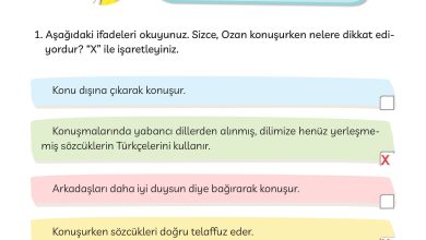 3. Sınıf Meb Yayınları Türkçe Ders Kitabı Sayfa 186 Cevapları