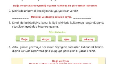 3. Sınıf Meb Yayınları Türkçe Ders Kitabı Sayfa 19 Cevapları