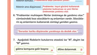 3. Sınıf Meb Yayınları Türkçe Ders Kitabı Sayfa 191 Cevapları