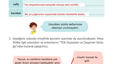 3. Sınıf Meb Yayınları Türkçe Ders Kitabı Sayfa 198 Cevapları