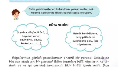 3. Sınıf Meb Yayınları Türkçe Ders Kitabı Sayfa 20 Cevapları