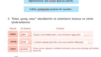 3. Sınıf Meb Yayınları Türkçe Ders Kitabı Sayfa 201 Cevapları