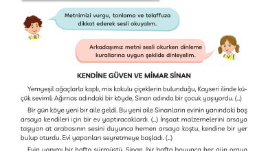 3. Sınıf Meb Yayınları Türkçe Ders Kitabı Sayfa 203 Cevapları