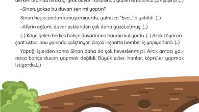 3. Sınıf Meb Yayınları Türkçe Ders Kitabı Sayfa 204 Cevapları