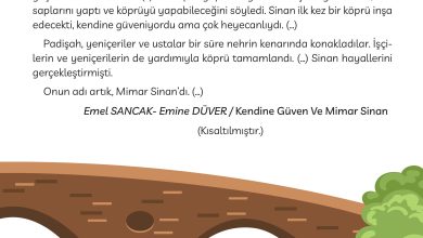 3. Sınıf Meb Yayınları Türkçe Ders Kitabı Sayfa 205 Cevapları