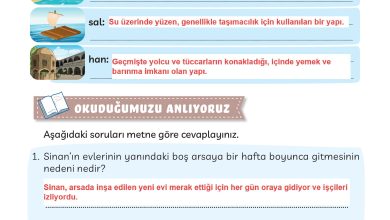 3. Sınıf Meb Yayınları Türkçe Ders Kitabı Sayfa 206 Cevapları