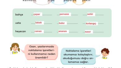 3. Sınıf Meb Yayınları Türkçe Ders Kitabı Sayfa 207 Cevapları