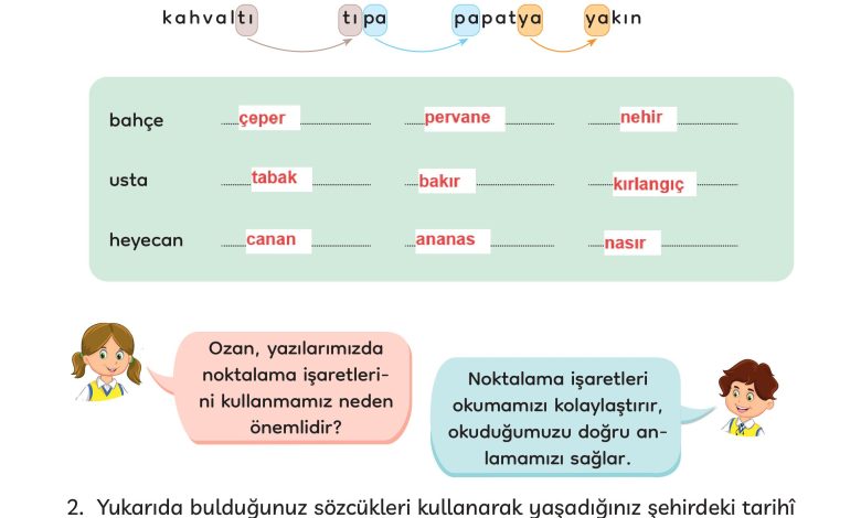 3. Sınıf Meb Yayınları Türkçe Ders Kitabı Sayfa 207 Cevapları