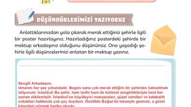 3. Sınıf Meb Yayınları Türkçe Ders Kitabı Sayfa 208 Cevapları