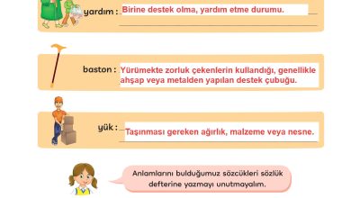 3. Sınıf Meb Yayınları Türkçe Ders Kitabı Sayfa 211 Cevapları