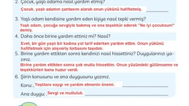 3. Sınıf Meb Yayınları Türkçe Ders Kitabı Sayfa 212 Cevapları