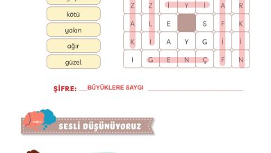 3. Sınıf Meb Yayınları Türkçe Ders Kitabı Sayfa 213 Cevapları