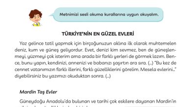 3. Sınıf Meb Yayınları Türkçe Ders Kitabı Sayfa 215 Cevapları