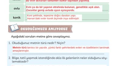 3. Sınıf Meb Yayınları Türkçe Ders Kitabı Sayfa 218 Cevapları