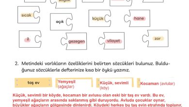 3. Sınıf Meb Yayınları Türkçe Ders Kitabı Sayfa 219 Cevapları