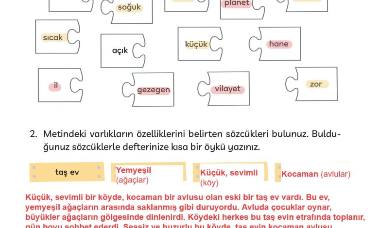 3. Sınıf Meb Yayınları Türkçe Ders Kitabı Sayfa 219 Cevapları