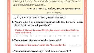 3. Sınıf Meb Yayınları Türkçe Ders Kitabı Sayfa 222 Cevapları