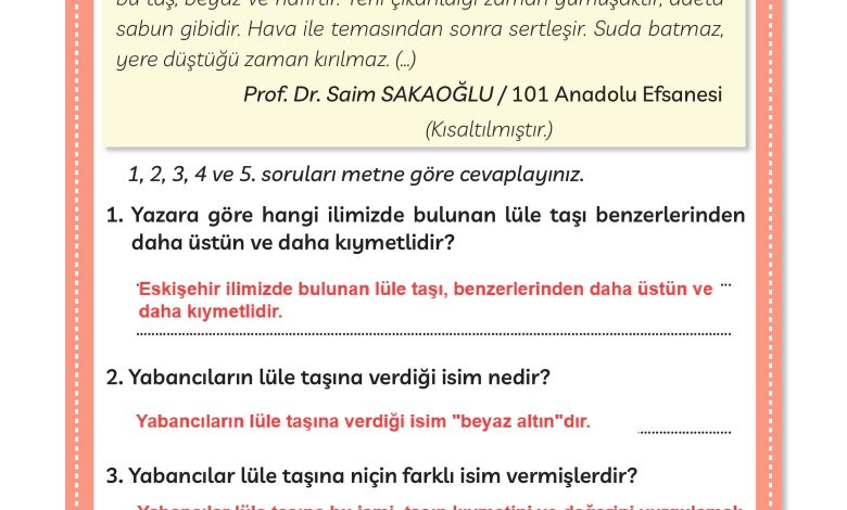 3. Sınıf Meb Yayınları Türkçe Ders Kitabı Sayfa 222 Cevapları