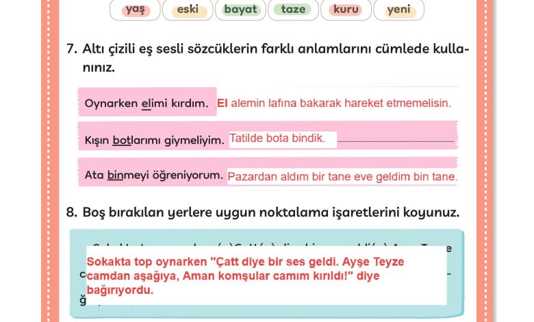 3. Sınıf Meb Yayınları Türkçe Ders Kitabı Sayfa 223 Cevapları