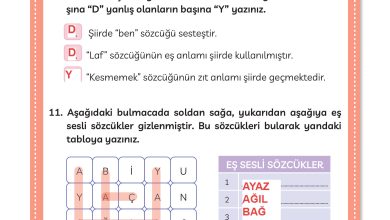 3. Sınıf Meb Yayınları Türkçe Ders Kitabı Sayfa 224 Cevapları