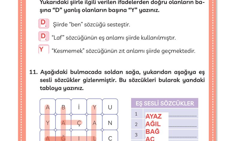 3. Sınıf Meb Yayınları Türkçe Ders Kitabı Sayfa 224 Cevapları