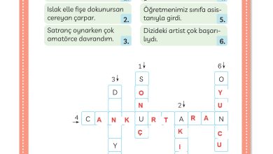 3. Sınıf Meb Yayınları Türkçe Ders Kitabı Sayfa 225 Cevapları