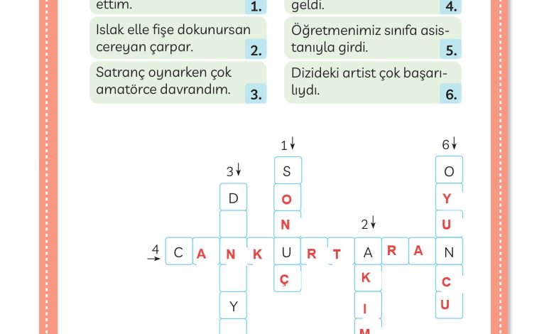 3. Sınıf Meb Yayınları Türkçe Ders Kitabı Sayfa 225 Cevapları