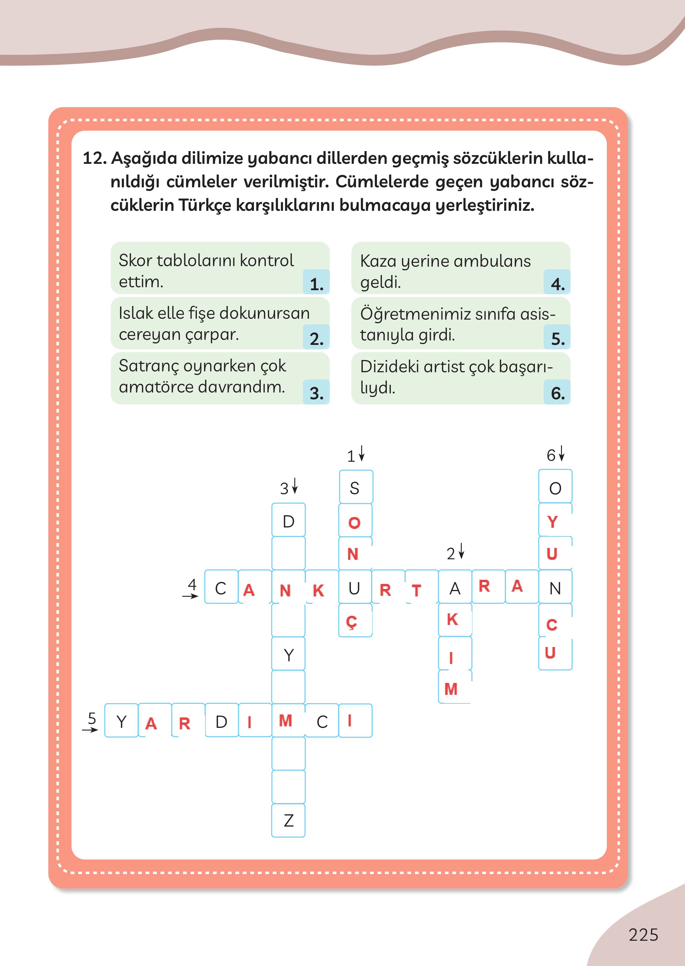 3. Sınıf Meb Yayınları Türkçe Ders Kitabı Sayfa 225 Cevapları