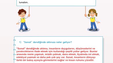 3. Sınıf Meb Yayınları Türkçe Ders Kitabı Sayfa 227 Cevapları