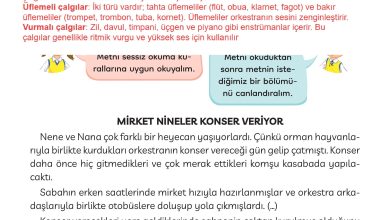 3. Sınıf Meb Yayınları Türkçe Ders Kitabı Sayfa 228 Cevapları