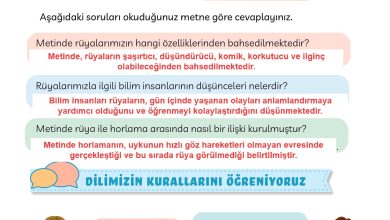 3. Sınıf Meb Yayınları Türkçe Ders Kitabı Sayfa 23 Cevapları