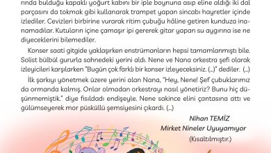 3. Sınıf Meb Yayınları Türkçe Ders Kitabı Sayfa 230 Cevapları