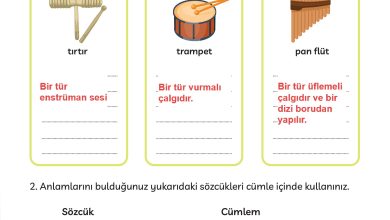 3. Sınıf Meb Yayınları Türkçe Ders Kitabı Sayfa 231 Cevapları